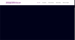 Desktop Screenshot of nettoyage-multiservices-lyon.com